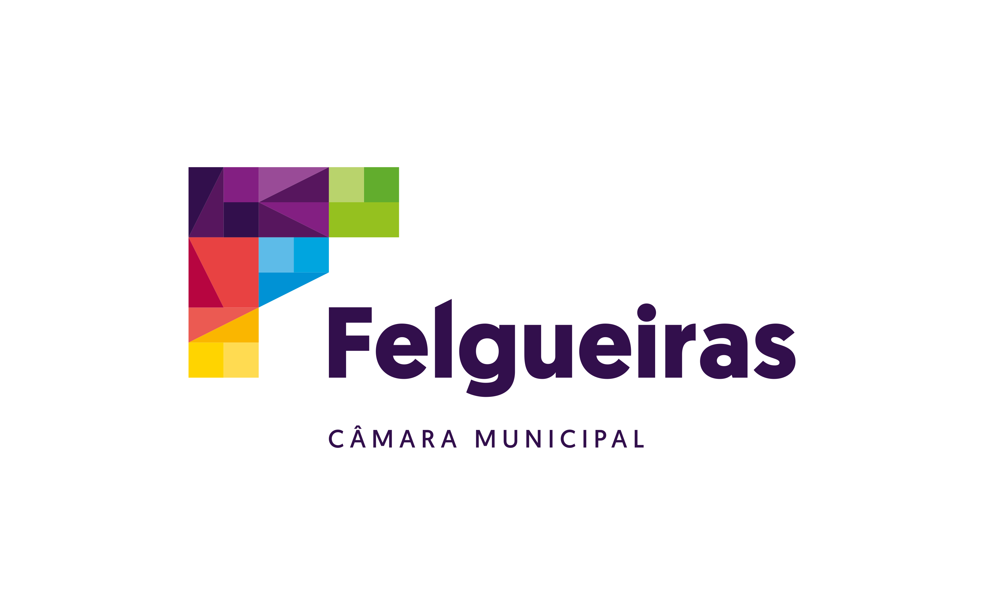 Municipio de Felgueiras • Atelier Alves → Design e Web Services